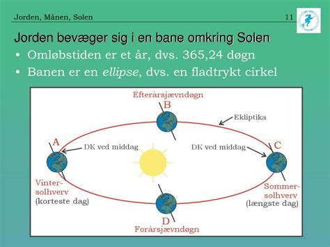  Nattorm - En Ödla Med Ett Mycket Speciellt Förhållande Till Mörker Och Solens Värme!