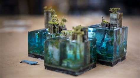   Trapezium Corals: A Miniature Cityscape That Blooms Underneath the Waves!